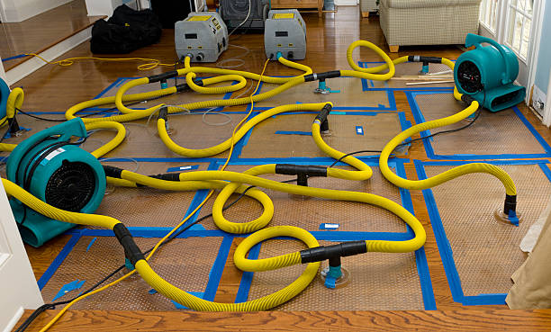Professional Basement Flood Cleanup technician working in New Lexington, OH